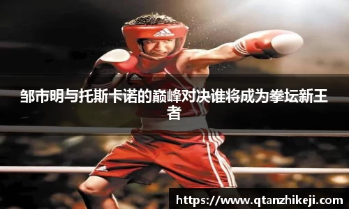 球速体育