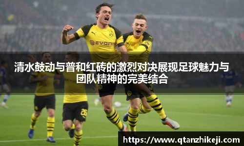 球速体育官网